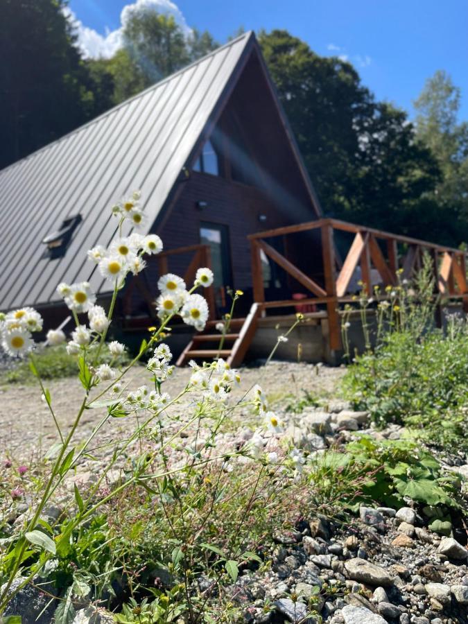 Wild Cabin Malaia Eksteriør bilde